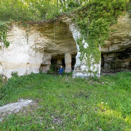 Logis De Bois Roche Villa Saint-Bonnet-sur-Gironde Екстериор снимка