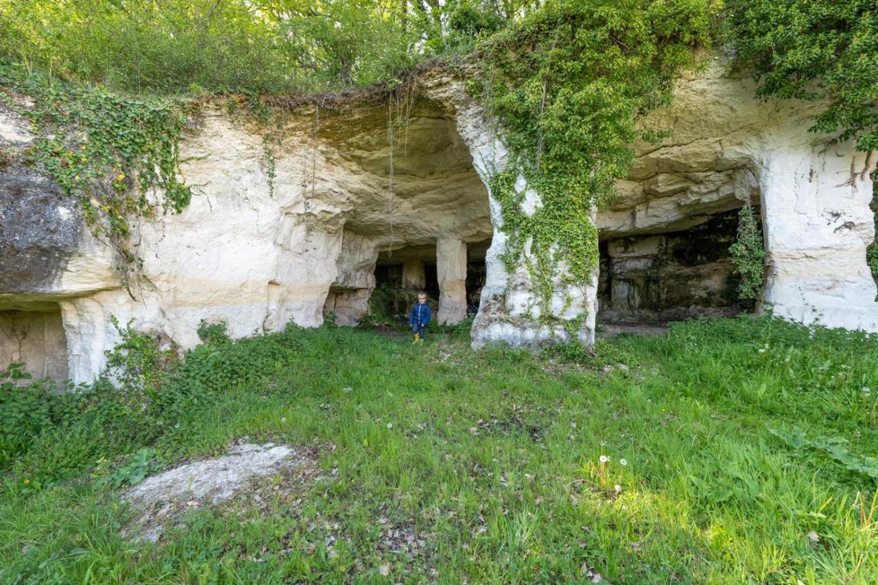 Logis De Bois Roche Villa Saint-Bonnet-sur-Gironde Екстериор снимка