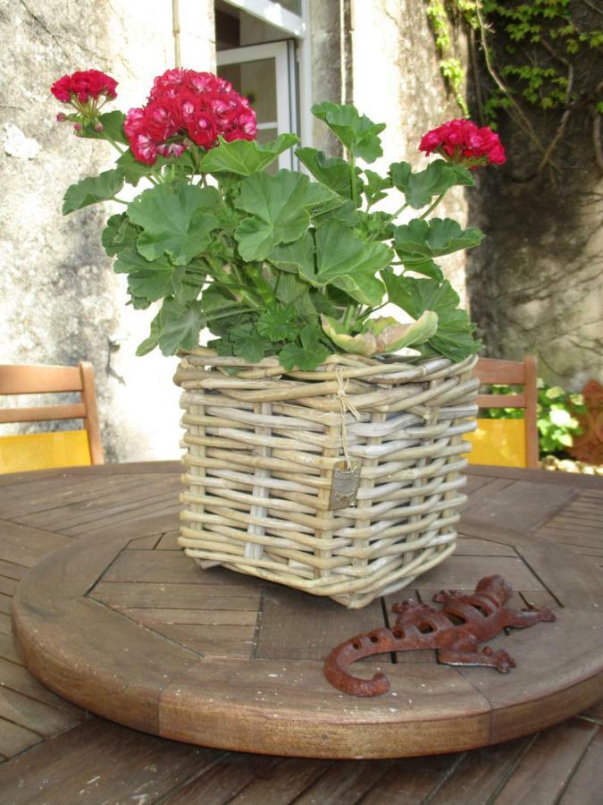 Logis De Bois Roche Villa Saint-Bonnet-sur-Gironde Екстериор снимка